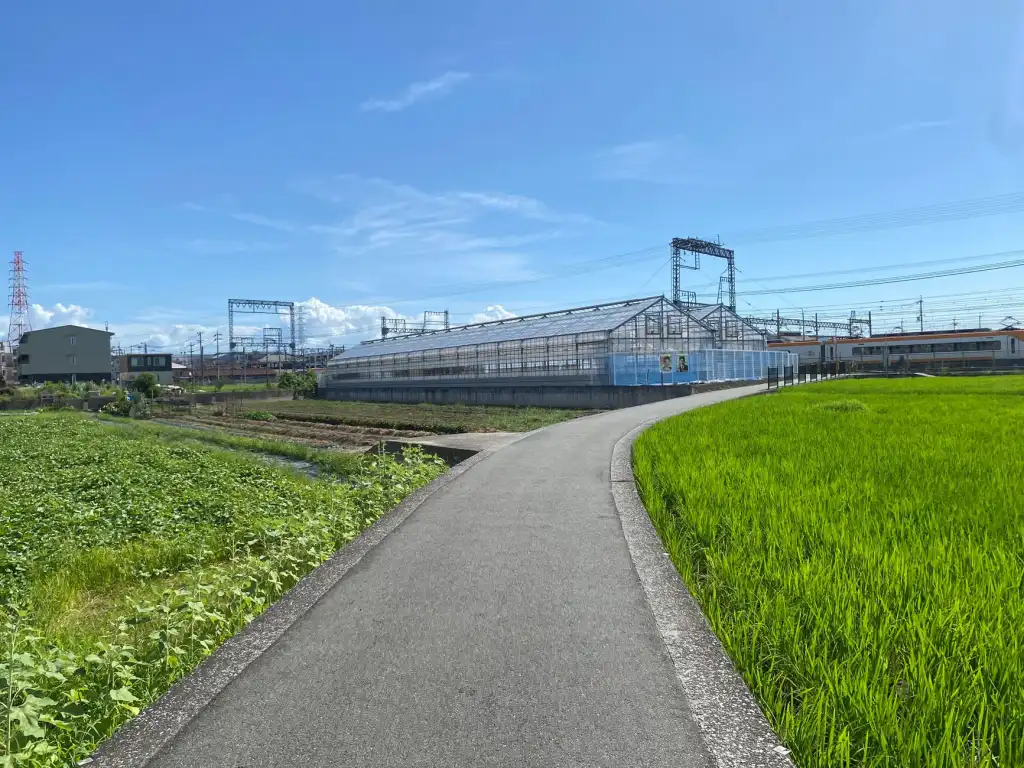 2024年西南地区地基处理技术趋势及恒凡达工程实践