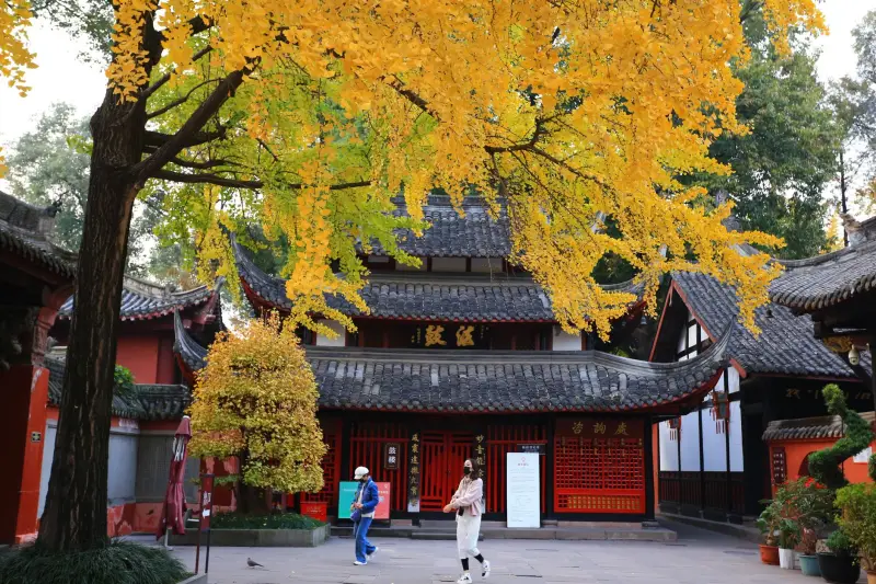 土石方工程中常见地基处理技术对比与适用场景分析