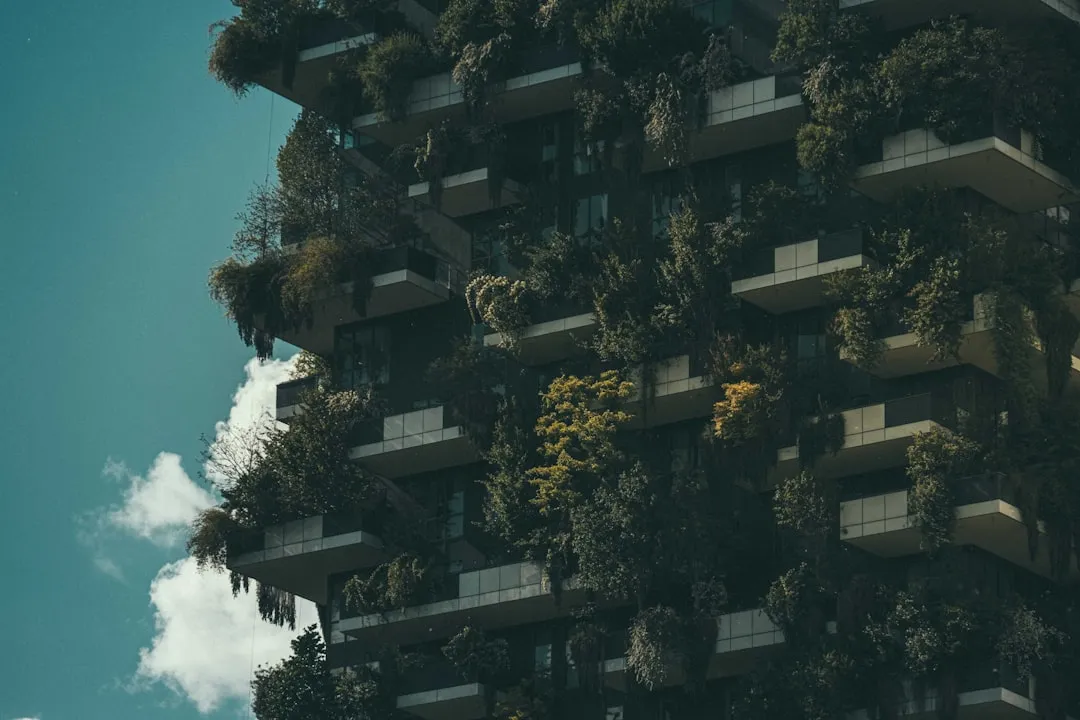 边坡治理技术在重庆山地开发项目中的应用现状与行业趋势正文配图 1